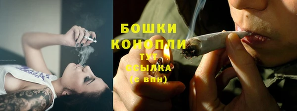 дживик Баксан