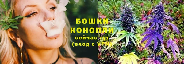 дживик Баксан