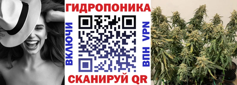 Бошки марихуана план  Губаха 